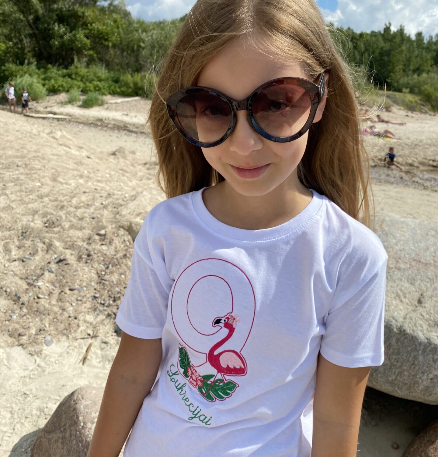 Gimtadienio marškinėliai su flamingais